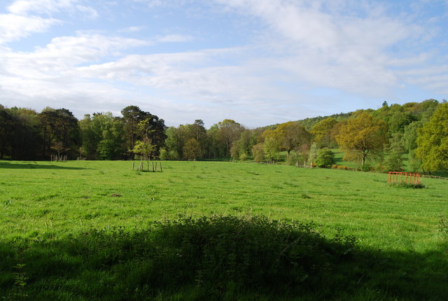 File:Field south of Old Springfield Stud - geograph.org.uk - 1288773.jpg