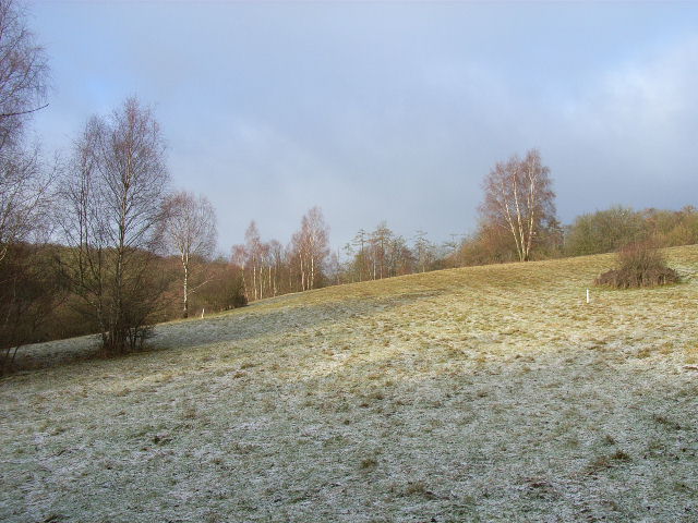 File:Field within Great Wood - geograph.org.uk - 96415.jpg