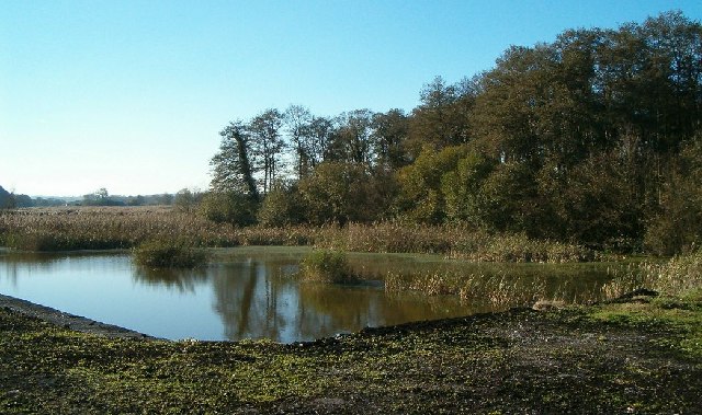 File:Flooded Peat Workings, Cold Harbour, Somerset - geograph.org.uk - 81282.jpg