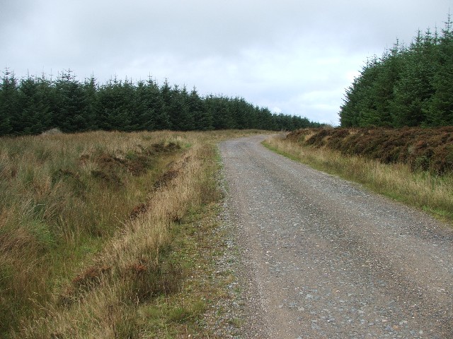 File:Forestry Track. - geograph.org.uk - 256442.jpg