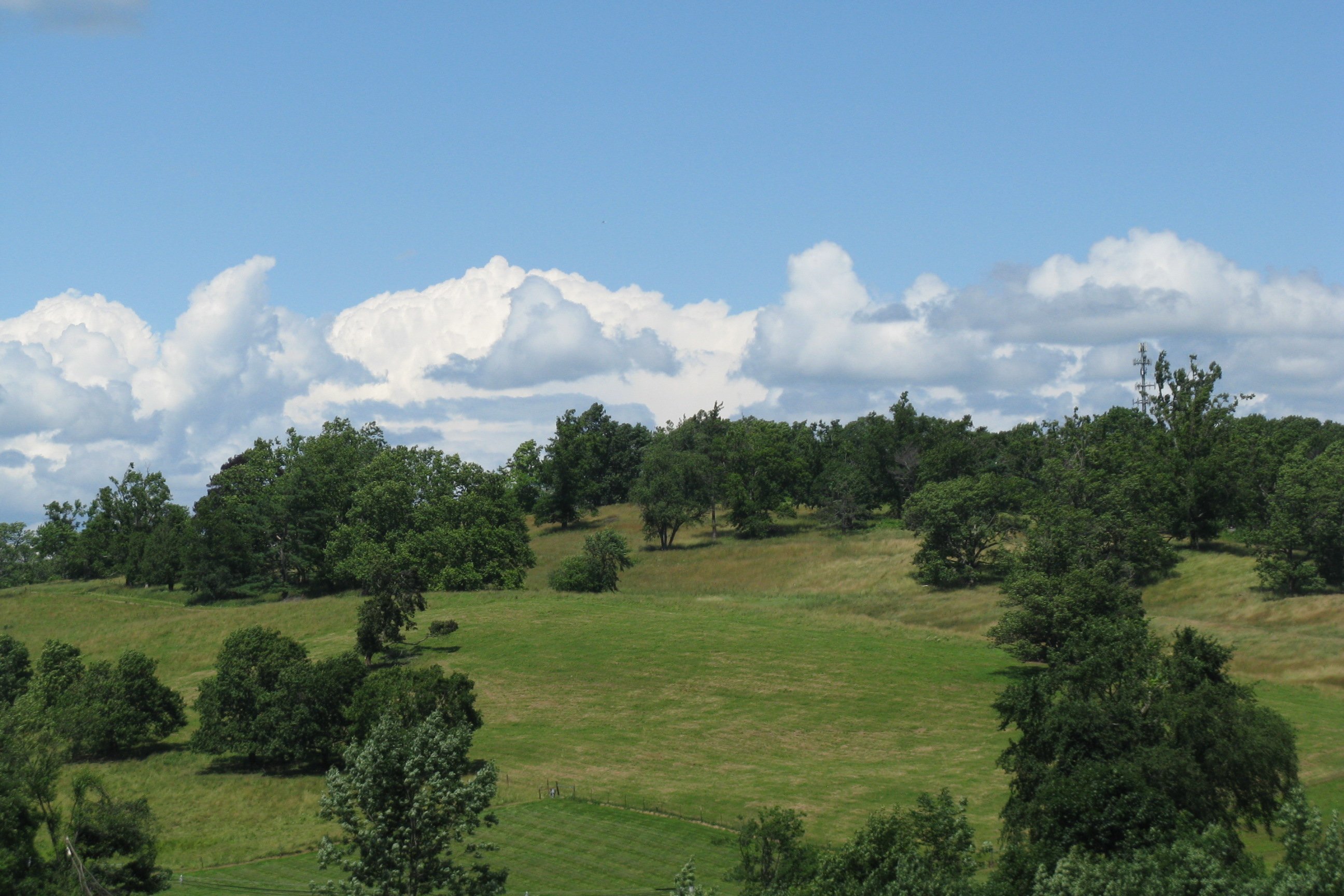 Gibbet Hill.