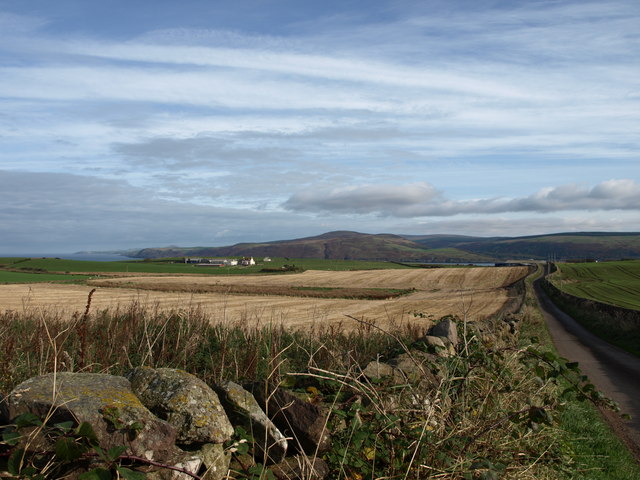 File:Harvested Fields, The Rhins - geograph.org.uk - 587552.jpg