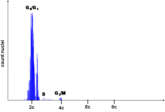 File:Histogram from cytometry - hyperdiploidy.PNG