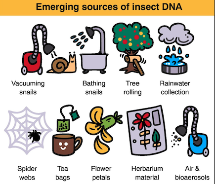 File:Insect DNA source.png