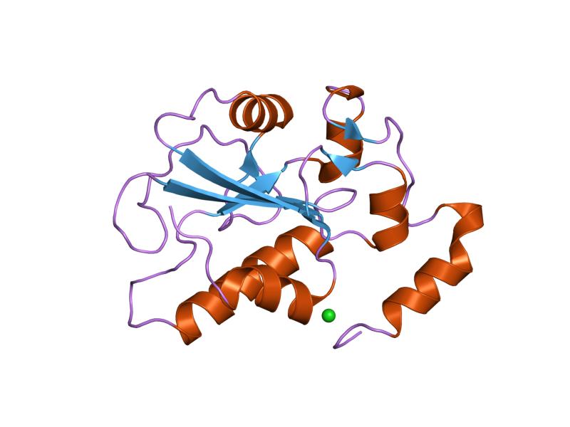 File:PDB 1ymk EBI.jpg