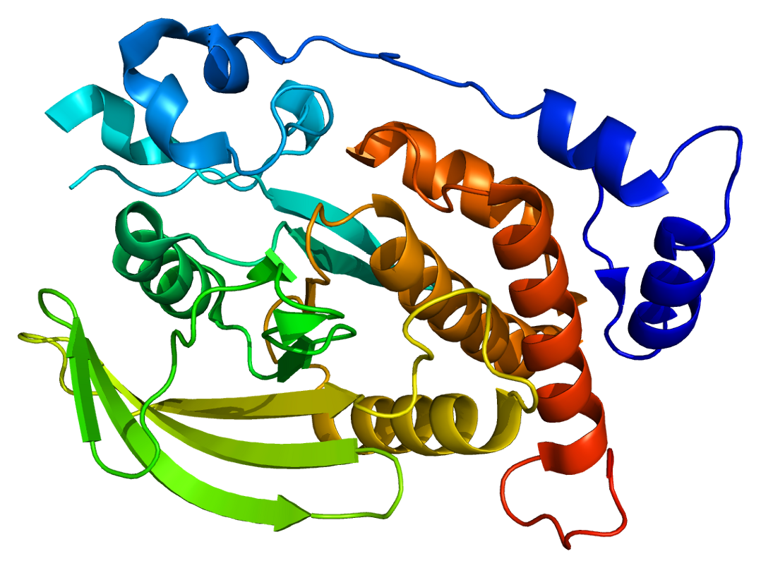 Рибонуклеаза фермент. Рибонуклеаза аморфная. Рибонуклеаза структура. Ангиогенин белок.