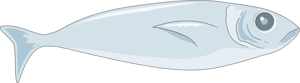 File:Raw fish clip art.png - Wikimedia Commons