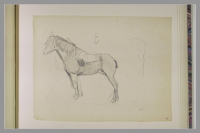 File:Redon - Etude de cheval, croquis d'une tête et d'une croupe de cheval, RF 40870, Recto.jpg