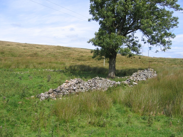 File:Ruined enclosure at Gearstones - geograph.org.uk - 643415.jpg