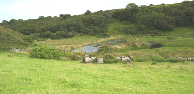 File:SW extension of the Cors Goch marsh - geograph.org.uk - 516248.jpg