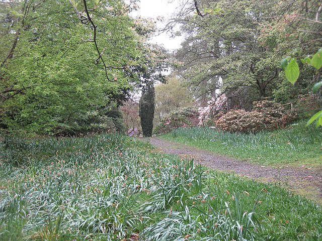 File:The Gardens at Achnacloich - geograph.org.uk - 1459060.jpg