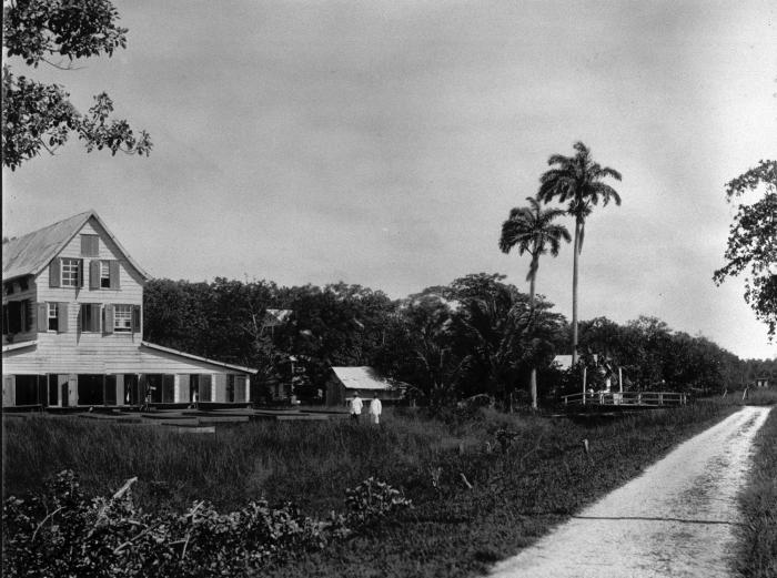 File:Tropenmuseum Royal Tropical Institute Objectnumber 60006405 Plantage Leonsberg.jpg