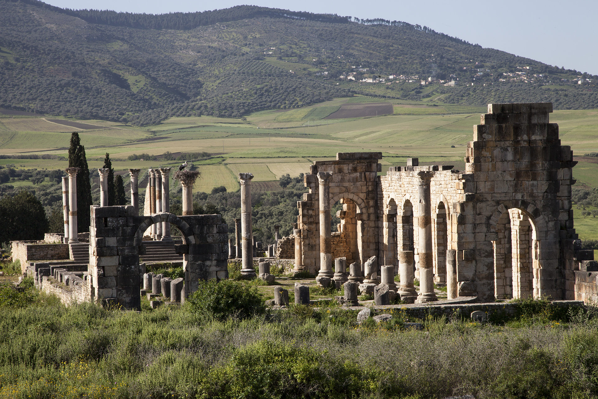 Roman ruins of Volubilis.