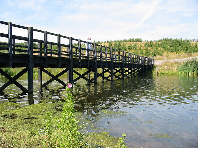 Watergate Forest Park - geograph.org.uk - 101771