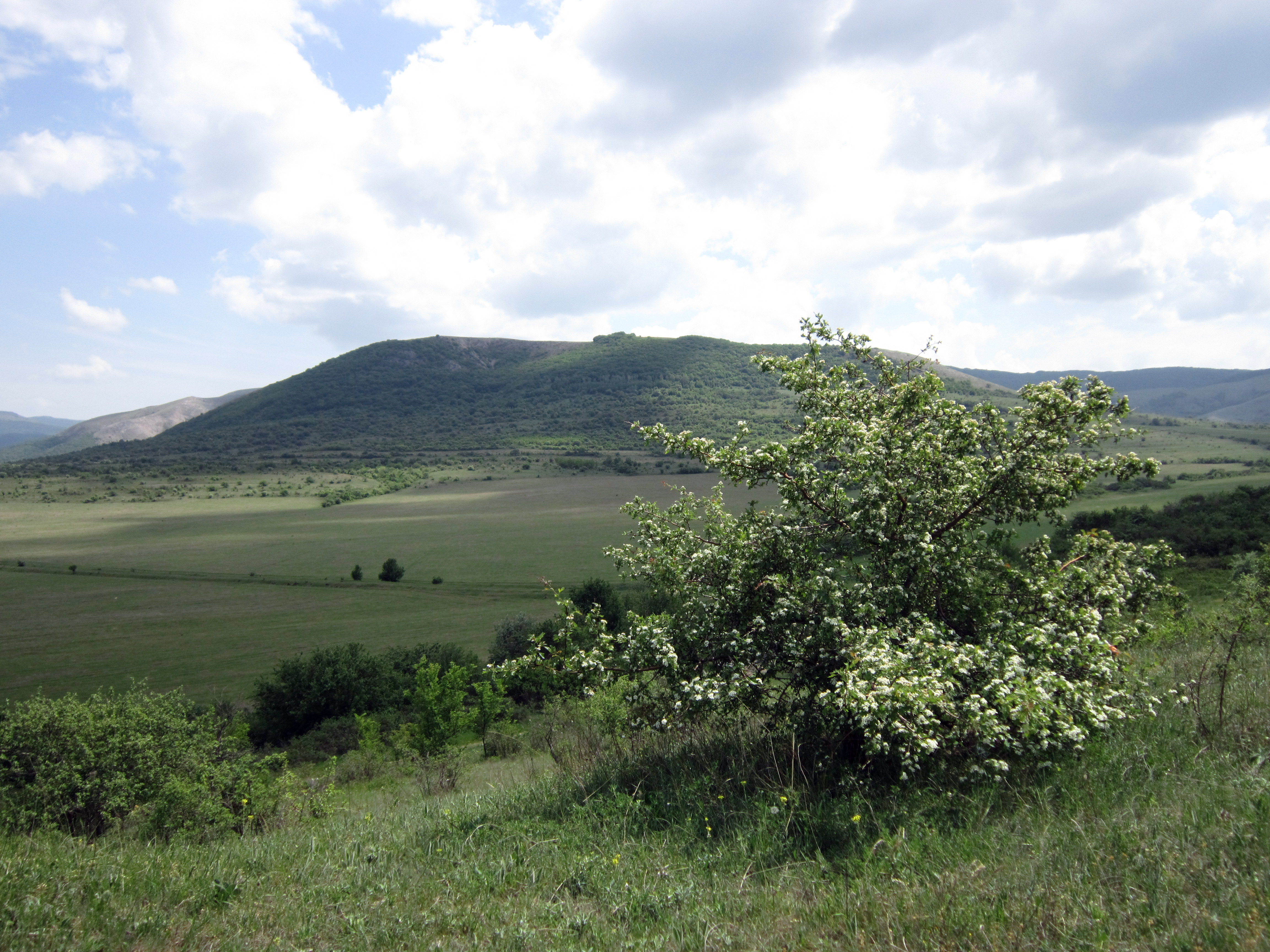 Крым село Каштановое 2005.