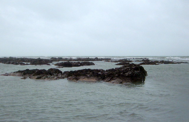 File:A reef off Seaton at Low Water - geograph.org.uk - 342816.jpg
