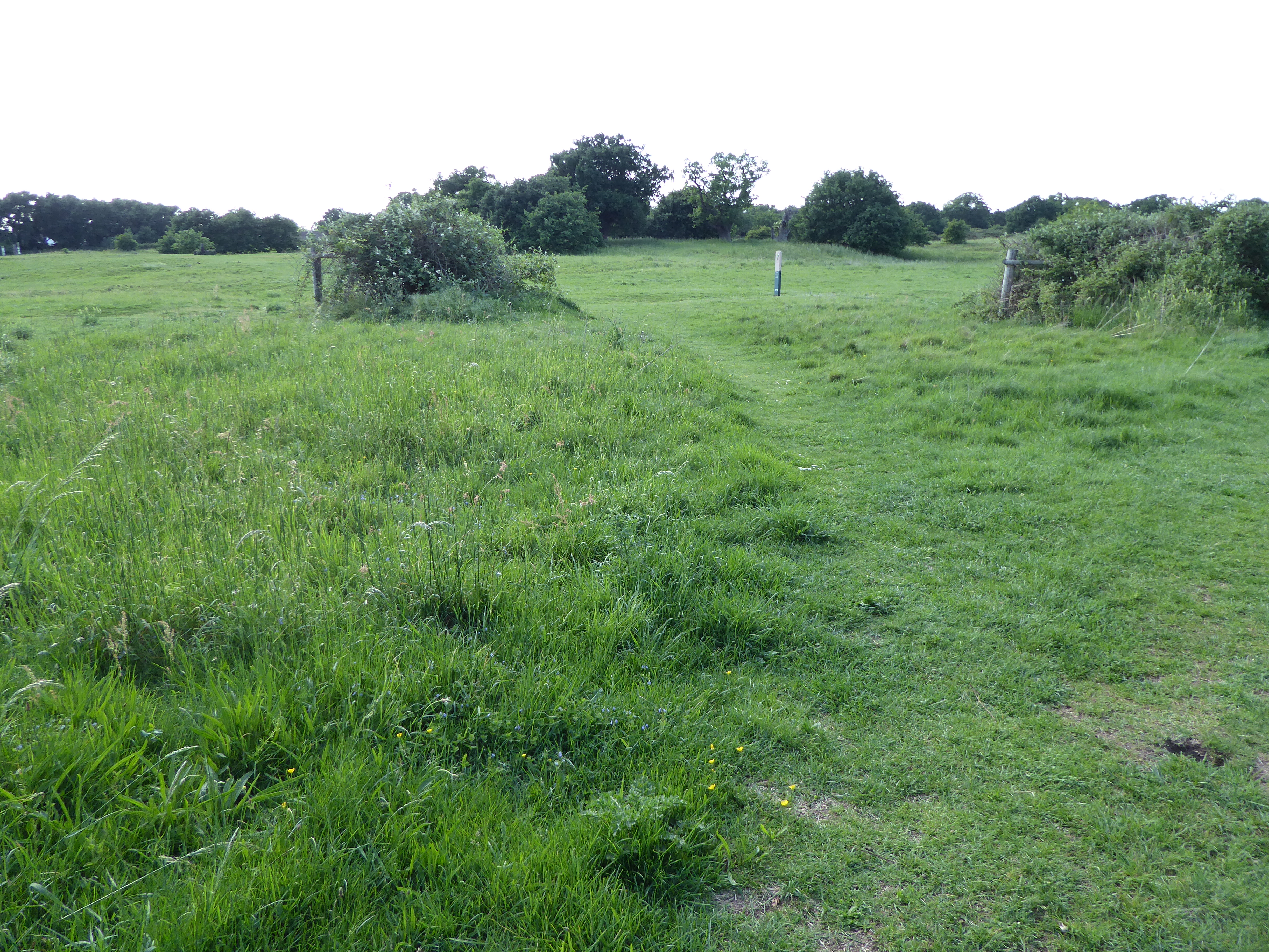 Local natural. Local nature. Local nature Reserves in uk.