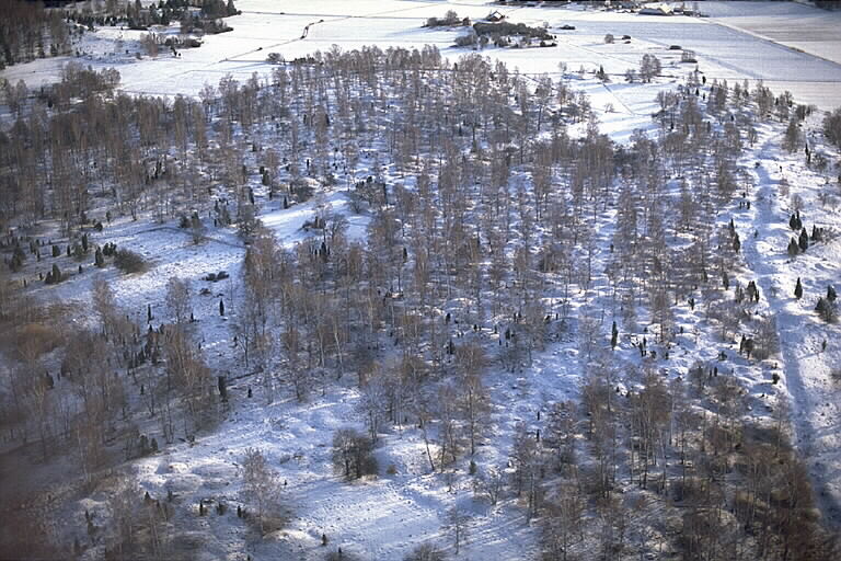 File:Björkö-Birka - KMB - 16000300031412.jpg