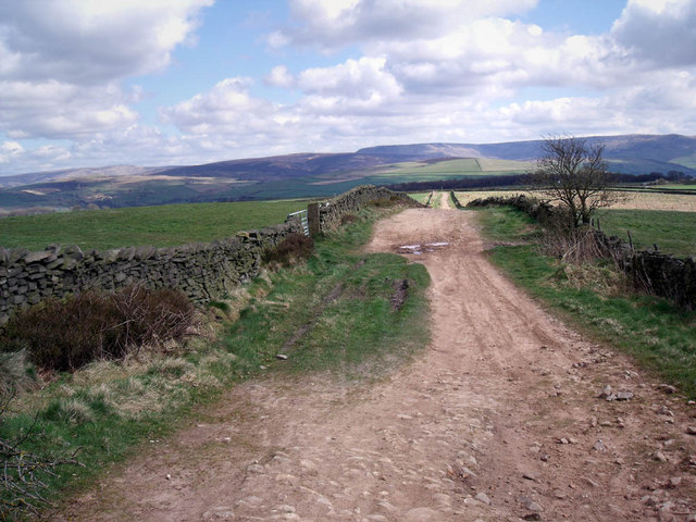 Black Lane - geograph.org.uk - 1245827