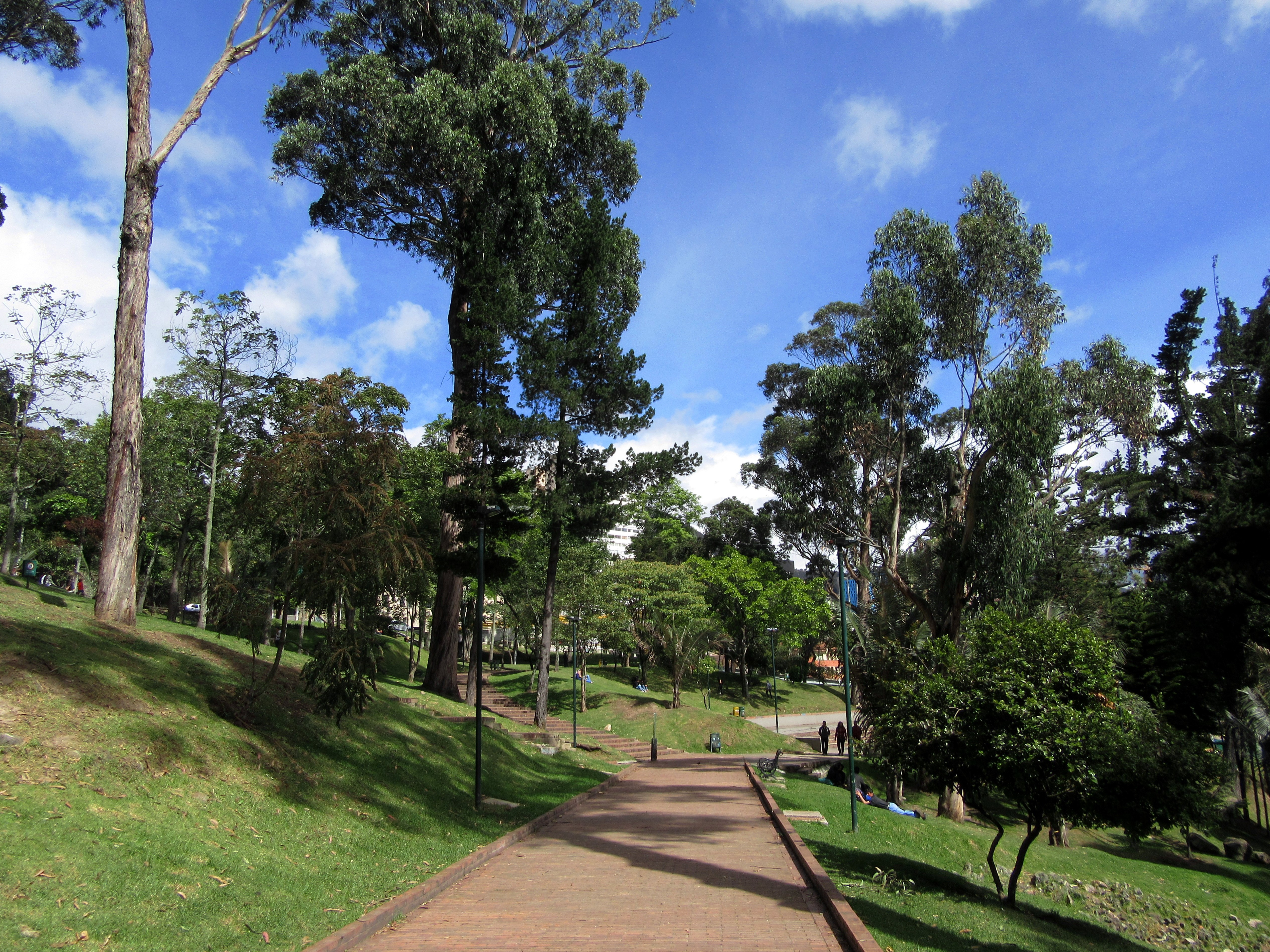 Archivo:Bogotá árboles parque de la Independencia.jpg - Wikipedia, la  enciclopedia libre