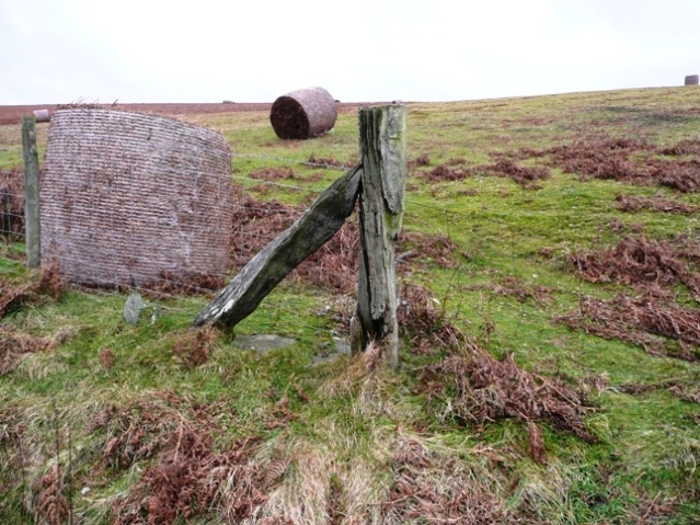 File:Bracken straw bales, a Radnorshire oddity - geograph.org.uk - 693904.jpg