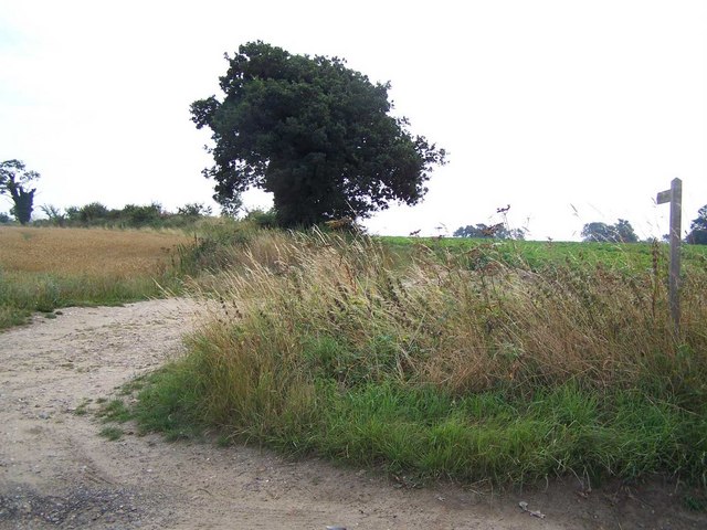 File:Bridleway Near Hetheresett - geograph.org.uk - 914085.jpg