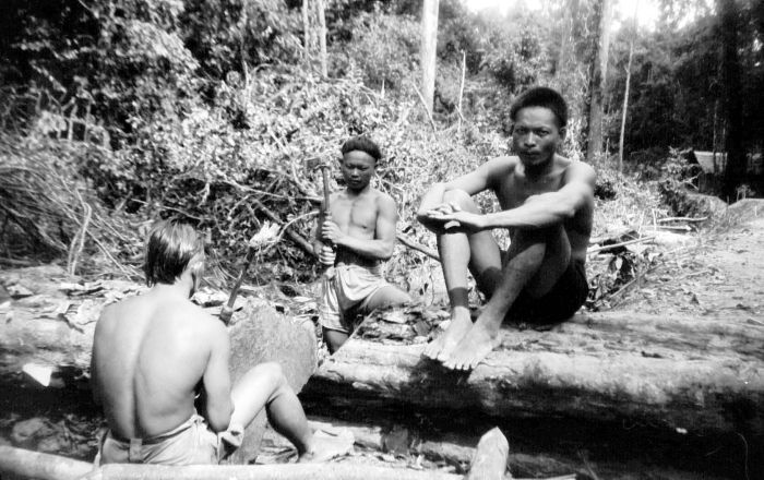 File:COLLECTIE TROPENMUSEUM Dajaks aan het werk in het bos Noenoekan Borneo TMnr 10005554.jpg