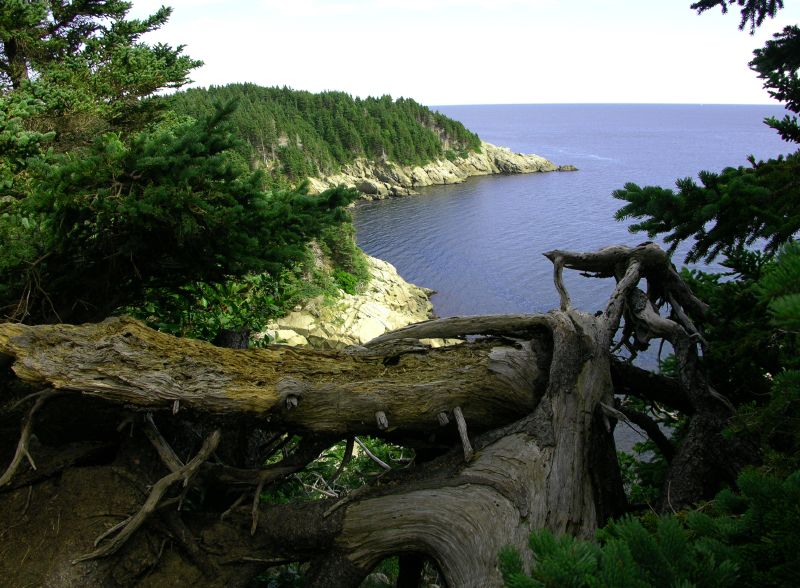 File:Cape breton island 1.jpg