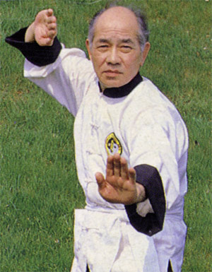 <span class="mw-page-title-main">Lee-style tai chi</span>