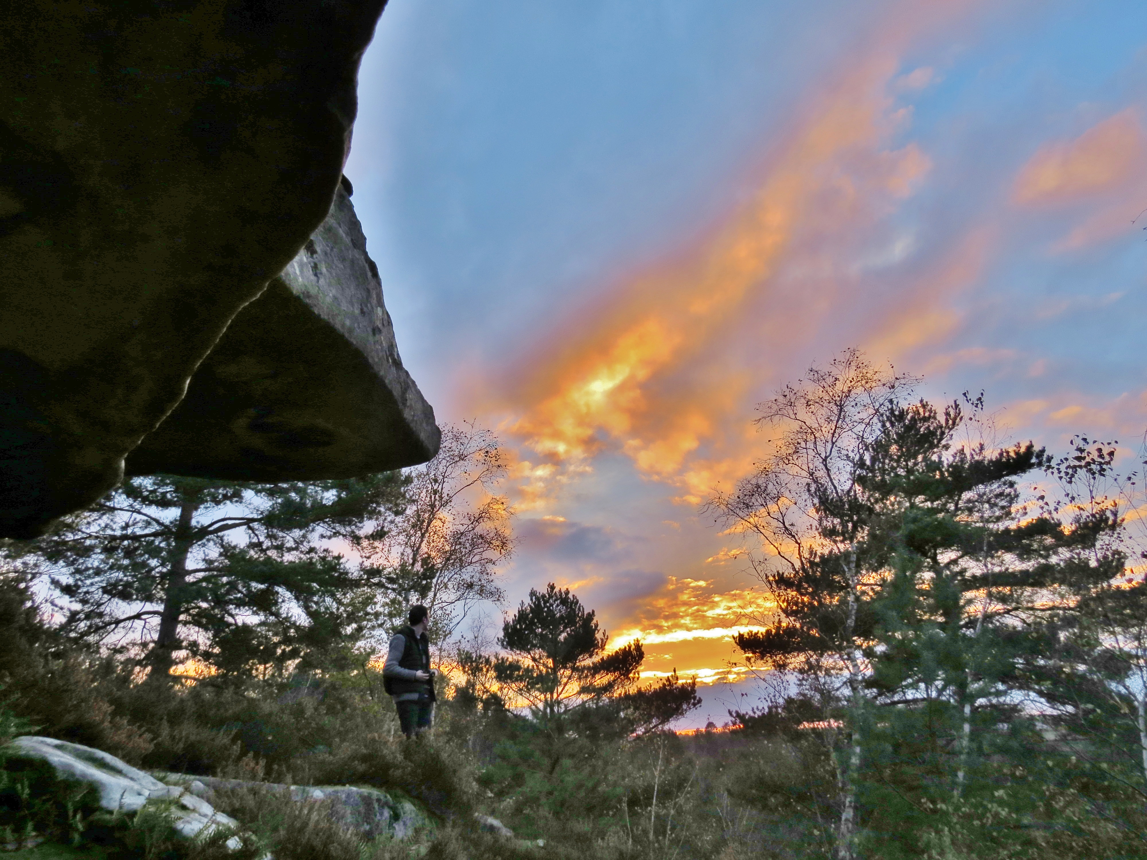 Filecoucher De Soleil En Forêt De Fontainebleaujpg