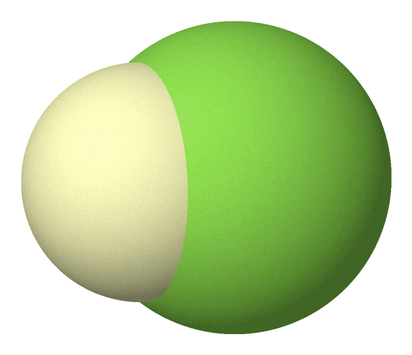 File:An egg.png - Wikimedia Commons