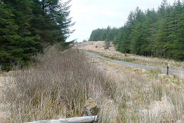 Doire Fhada (Derrada) - geograph.org.uk - 1292160