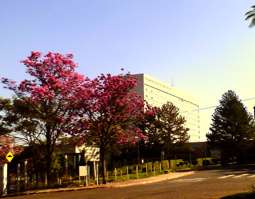 Hospital das Clínicas de Ribeirão Preto