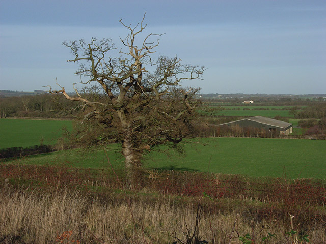 File:Farmland, Kingston Lisle - geograph.org.uk - 313913.jpg