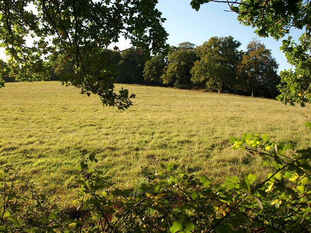 South field