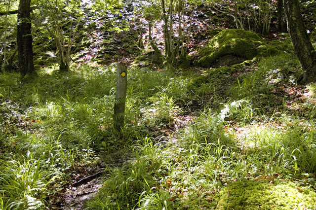 File:Footpath and Waymark, Crook Wood - geograph.org.uk - 2452556.jpg