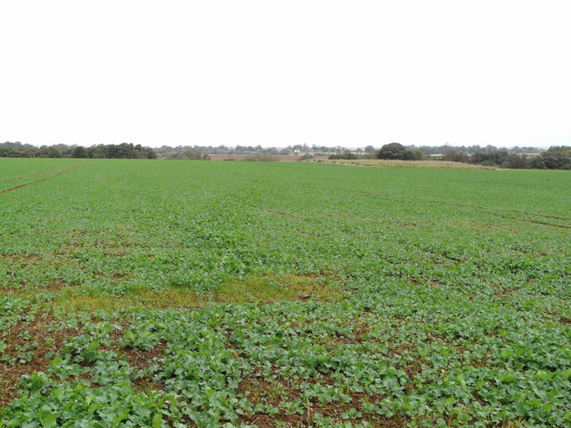 File:Footpath near East Keal - geograph.org.uk - 1021280.jpg