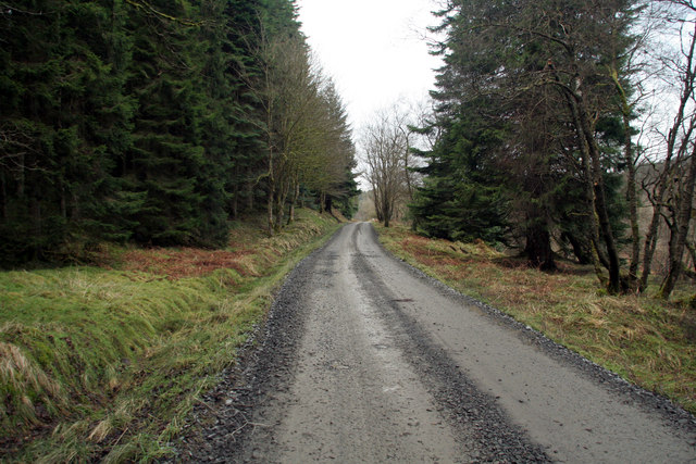 File:Forest Track - geograph.org.uk - 1091753.jpg
