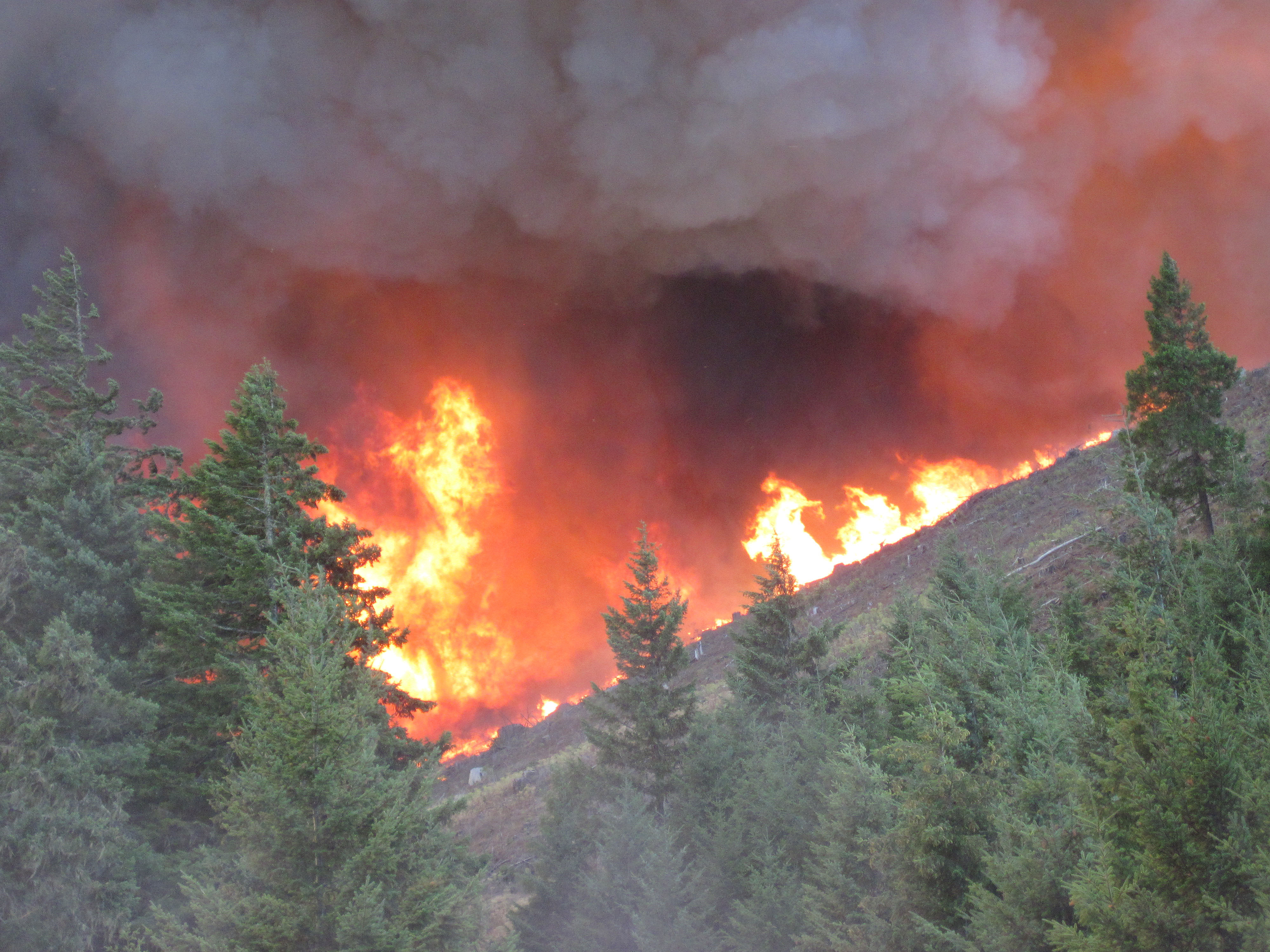 Пожары 2013 года. Пожарная охрана леса. Чрезвычайная пожароопасность. Forest Fire Russia. Causes of Forest Fires and Firefighting.