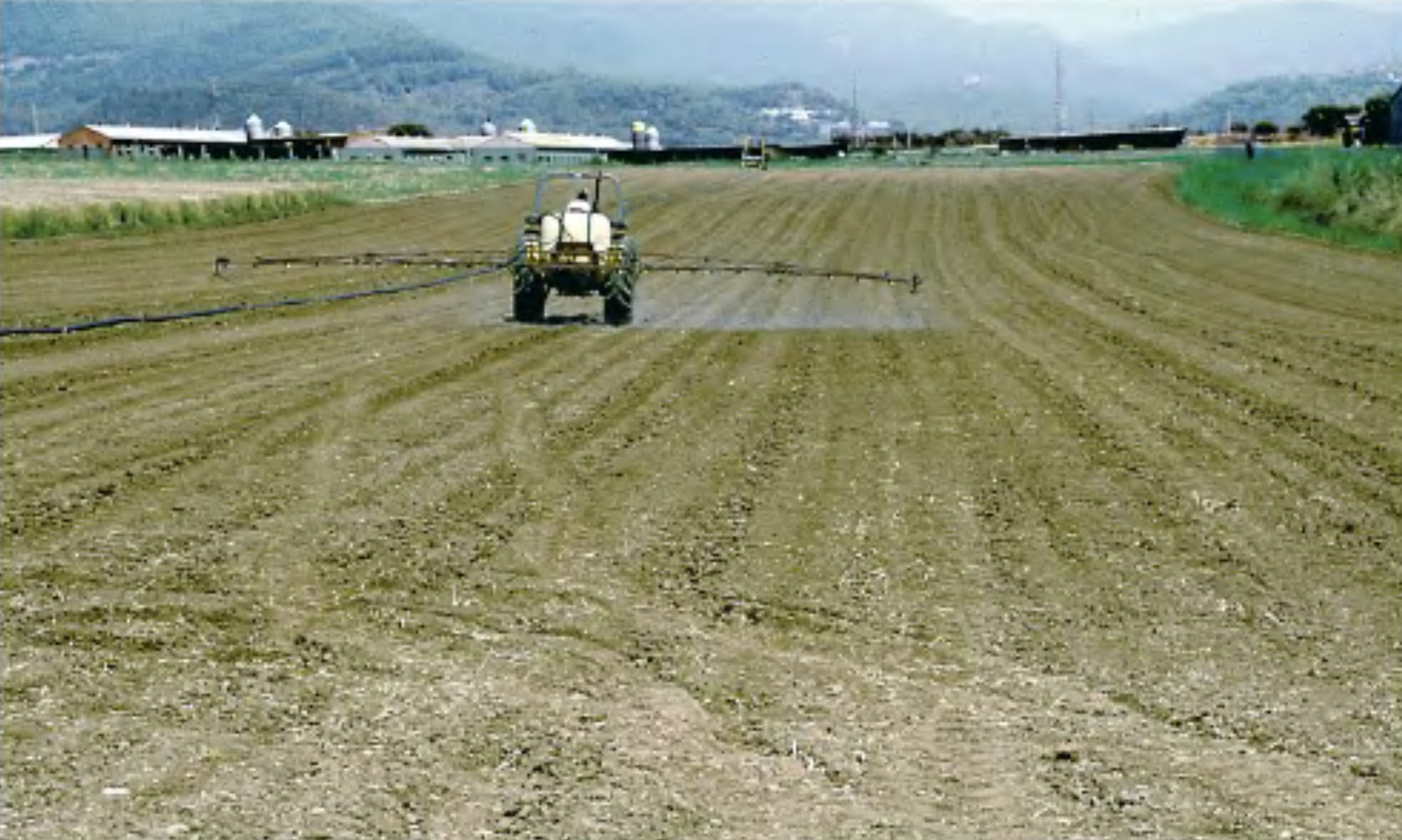 Se puede echar herbicida con la hierba mojada