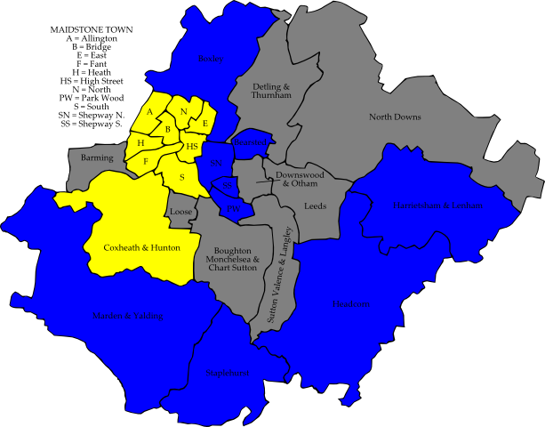 Maidstone Borough Council election, 2010