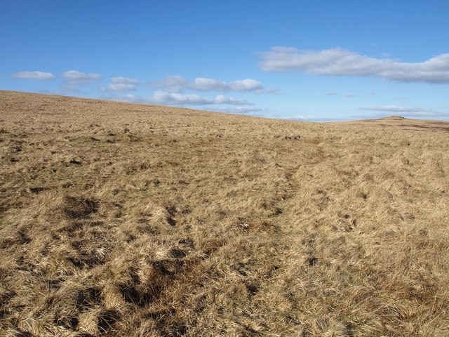 File:Moorland northeast of Wild Tor - geograph.org.uk - 1758049.jpg