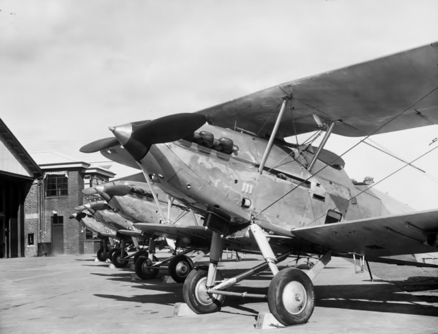 File:No. 1 Squadron RAAF Demon (AWM P00448.130).JPG