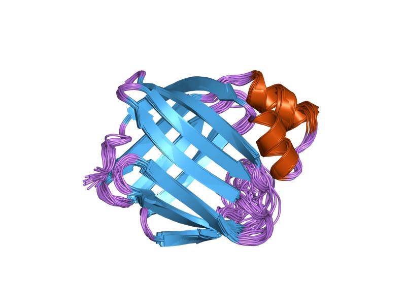 File:PDB 1jbh EBI.jpg