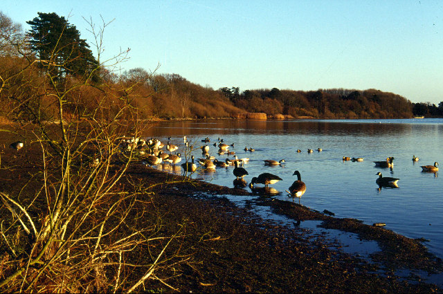 Ravensthorpe Reservoir - geograph.org.uk - 115207