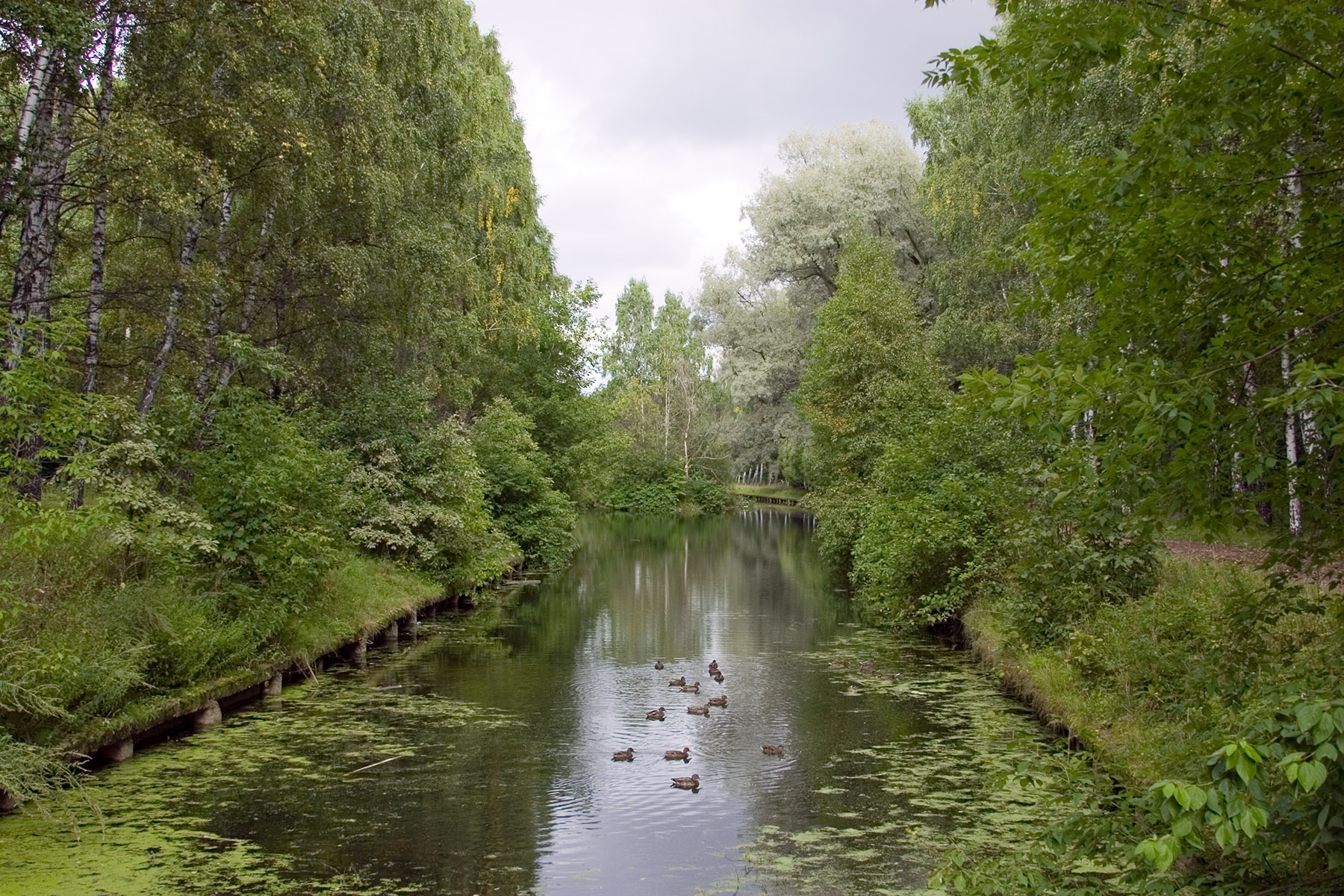 Каскад Путяевских прудов в парке Сокольники