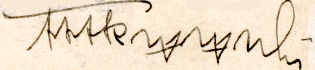 File:Stanisław Skrzyszewski - signature.png