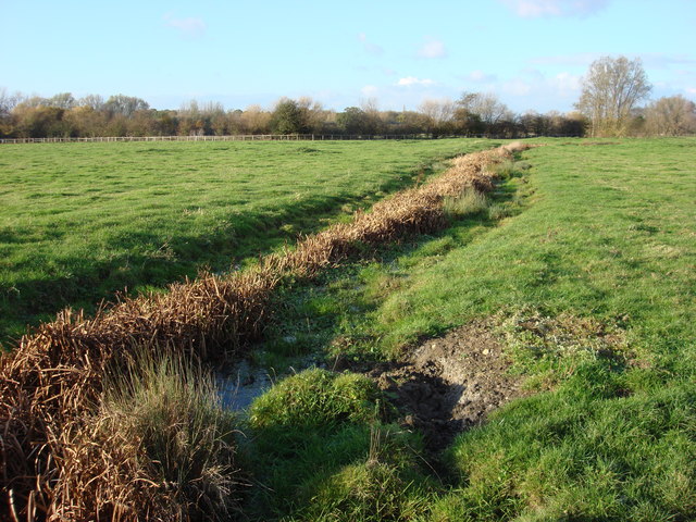 File:Stream, Sudbury common lands - geograph.org.uk - 626759.jpg