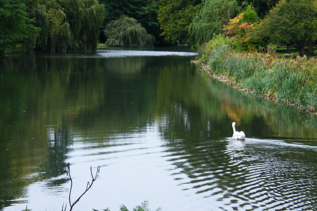 Syon Park lake - geograph.org.uk - 1577854