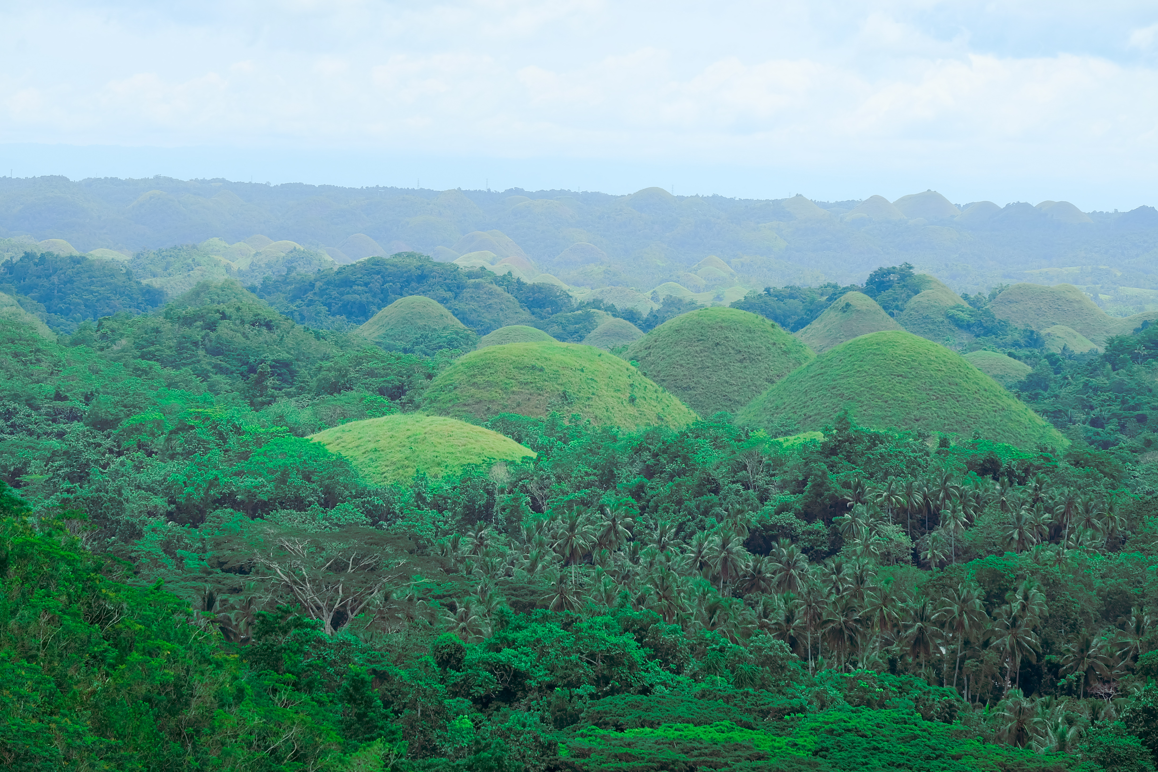 Chocolate Hills - Wikipedia